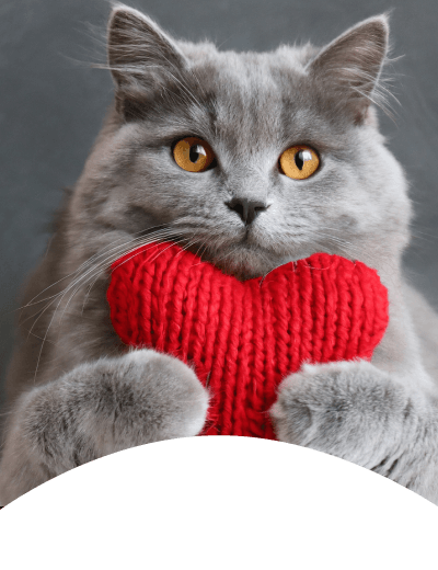 Winnie_Dietz_bg_img